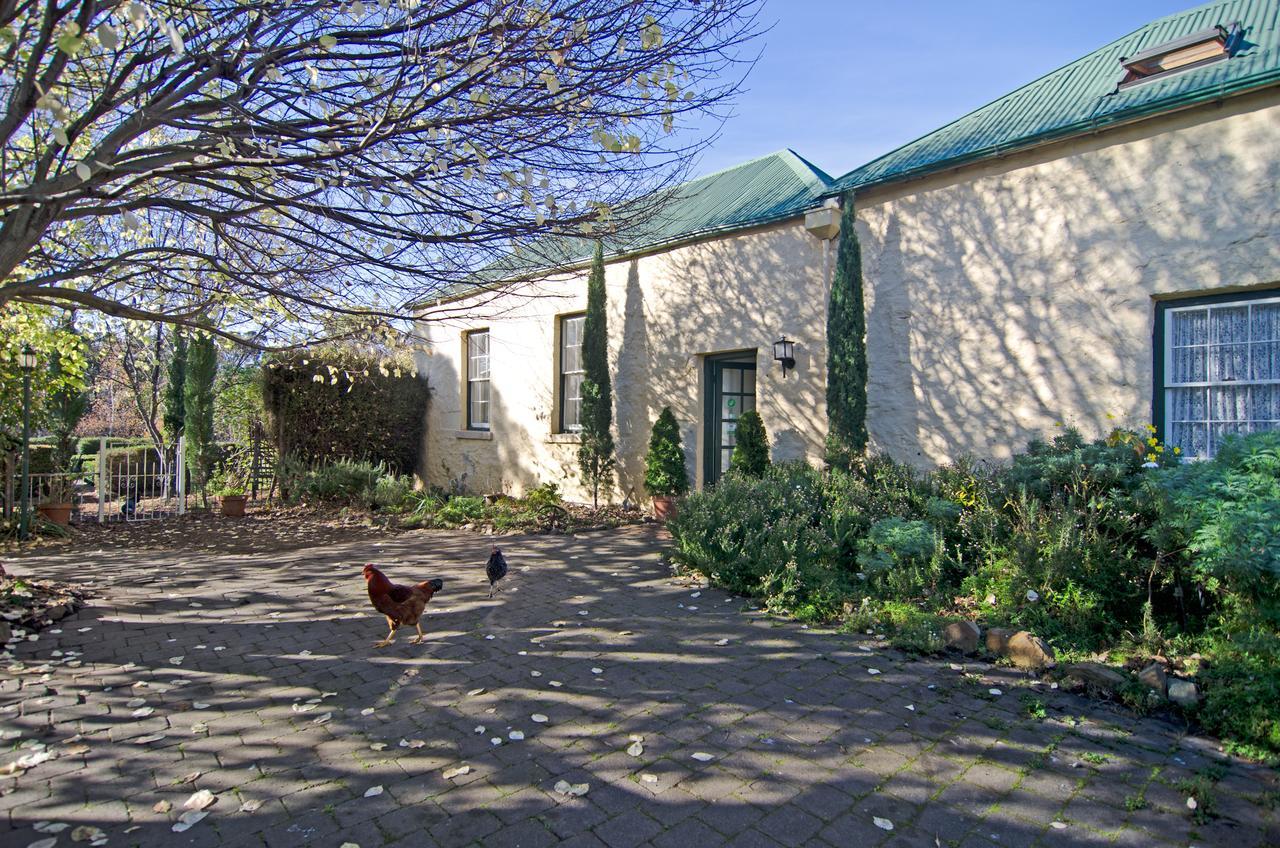 Cleburne Homestead Risdon Exteriér fotografie